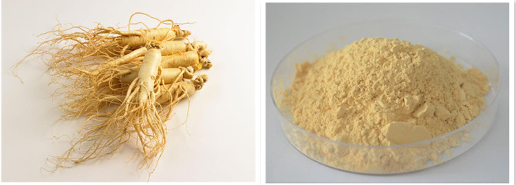 Value Of Ginseng Extract.jpg